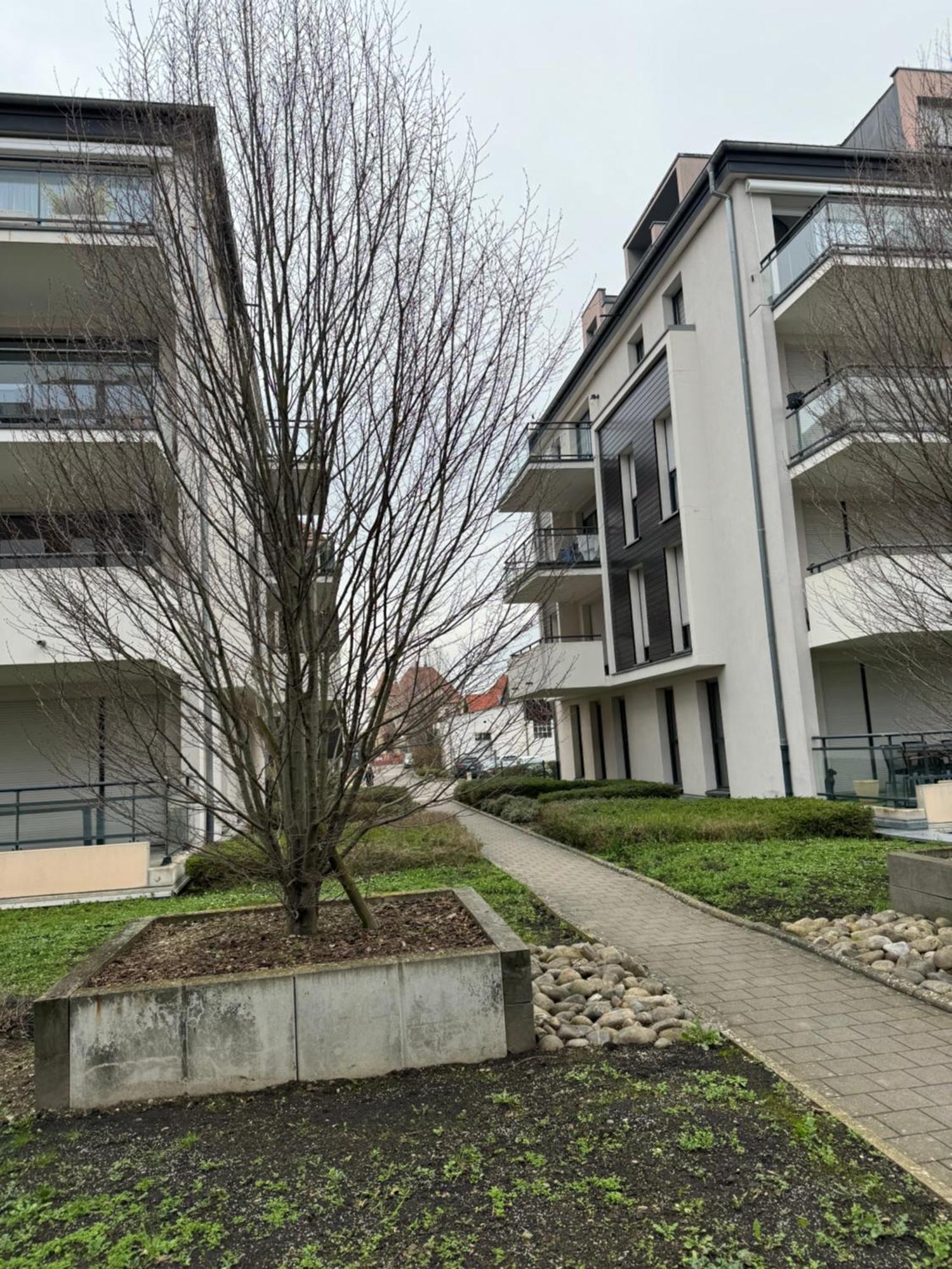 Апартаменты Le "Petit Colmarien" A 1Mn Du Centre Экстерьер фото